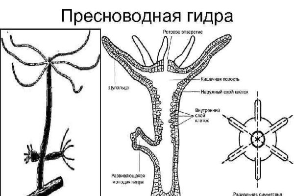 Ссылка на гидру зеркало