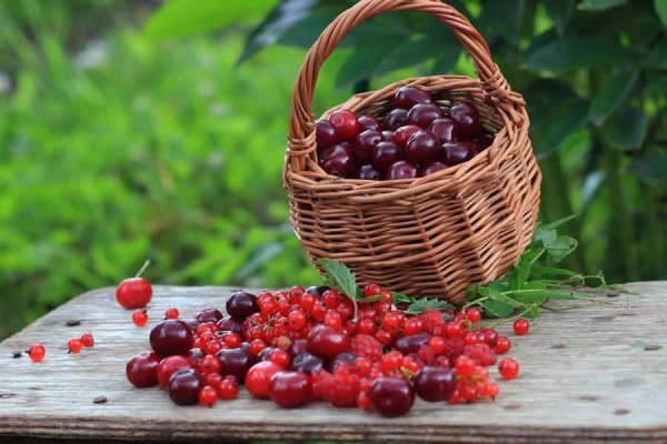 Актуальные ссылки даркнет